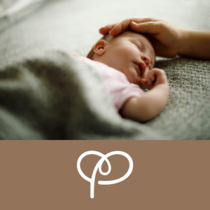 Plan de sueño (Sin seguimiento)